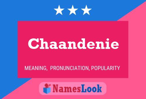 Affiche de nom Chaandenie