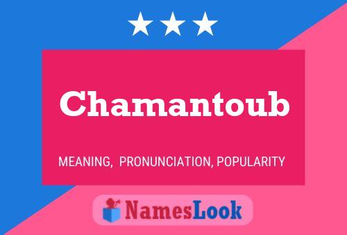 Affiche de nom Chamantoub