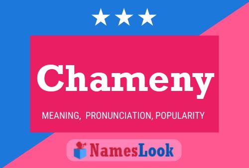 Affiche de nom Chameny