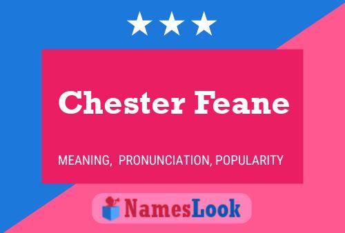 Affiche de nom Chester Feane