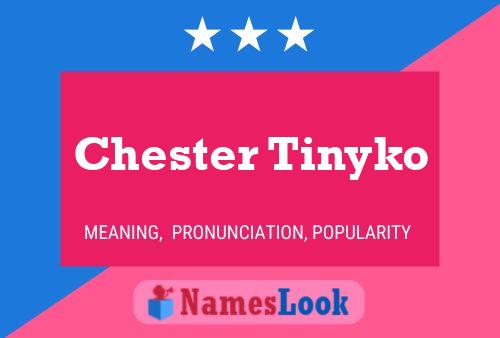 Affiche de nom Chester Tinyko