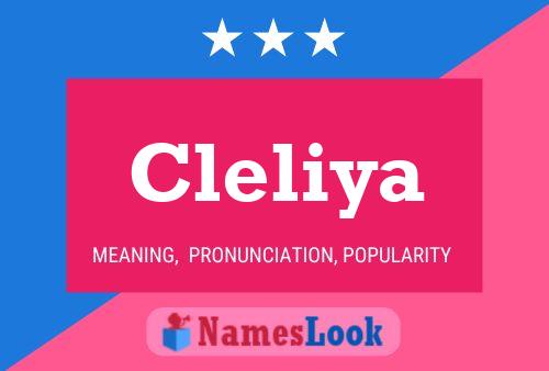 Affiche de nom Cleliya