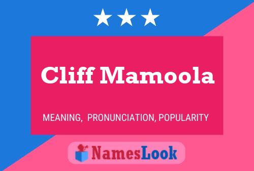 Affiche de nom Cliff Mamoola