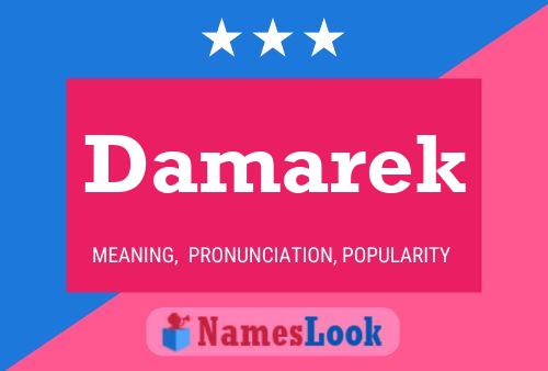 Affiche de nom Damarek