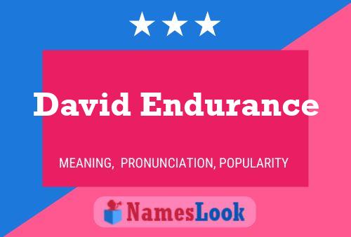 Affiche de nom David Endurance