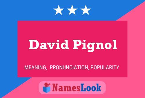 Affiche de nom David Pignol