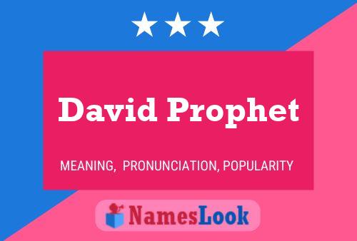 Affiche de nom David Prophet