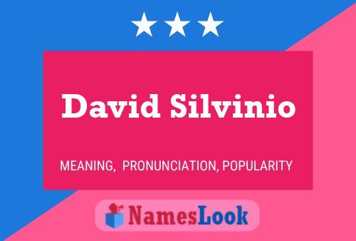 Affiche de nom David Silvinio