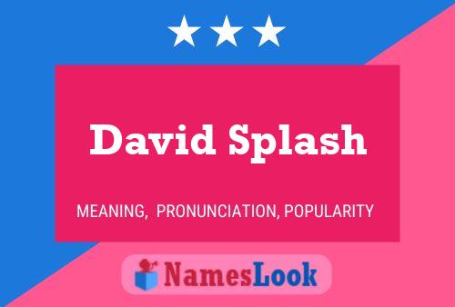 Affiche de nom David Splash