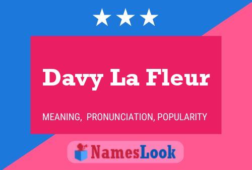 Affiche de nom Davy La Fleur