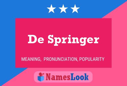 Affiche de nom De Springer