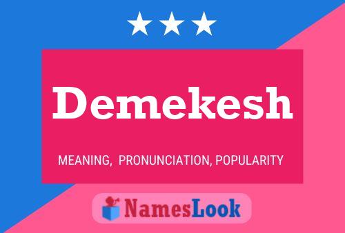 Affiche de nom Demekesh