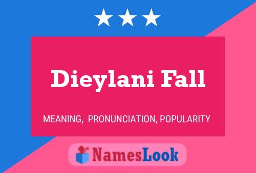 Affiche de nom Dieylani Fall