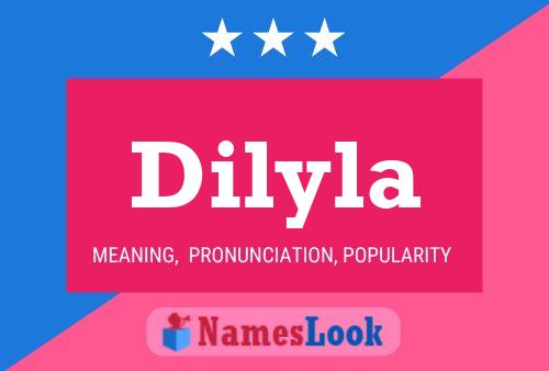 Affiche de nom Dilyla