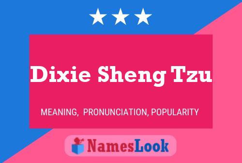 Affiche de nom Dixie Sheng Tzu