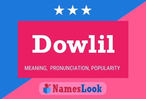 Affiche de nom Dowlil