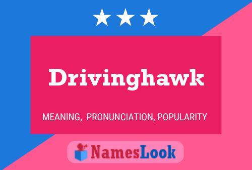 Affiche de nom Drivinghawk