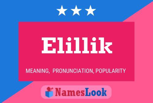 Affiche de nom Elillik