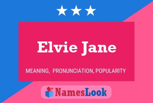 Affiche de nom Elvie Jane