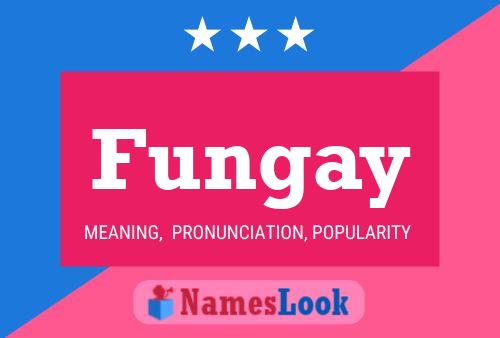 Affiche de nom Fungay