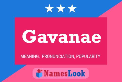 Affiche de nom Gavanae