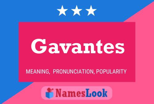 Affiche de nom Gavantes