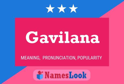 Affiche de nom Gavilana