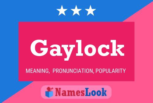 Affiche de nom Gaylock