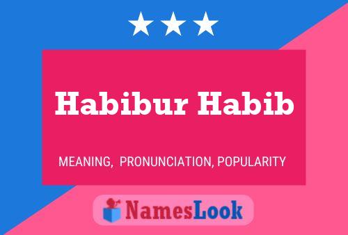 Affiche de nom Habibur Habib