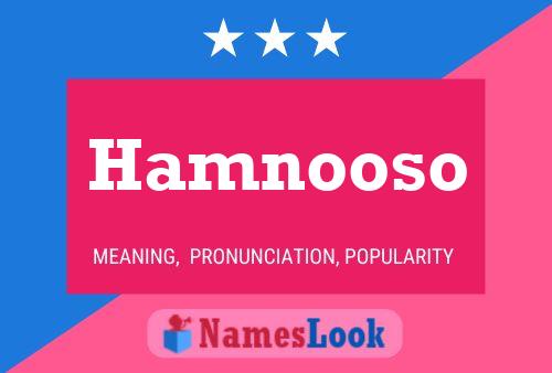 Affiche de nom Hamnooso