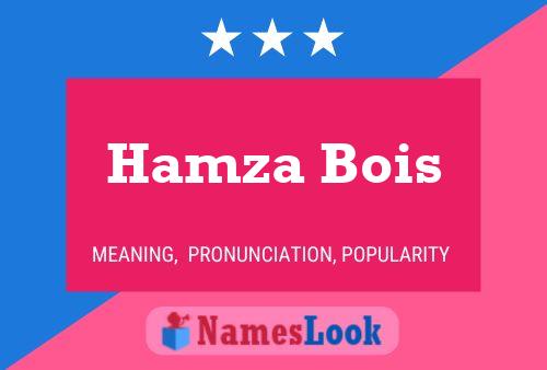 Affiche de nom Hamza Bois