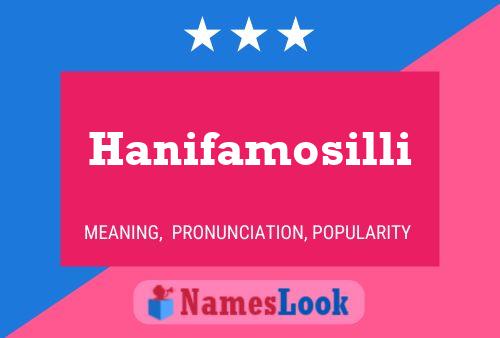 Affiche de nom Hanifamosilli