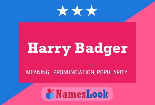 Affiche de nom Harry Badger