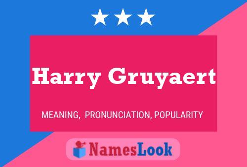 Affiche de nom Harry Gruyaert