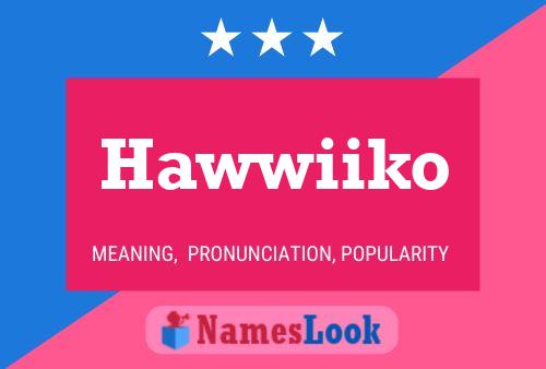 Affiche de nom Hawwiiko