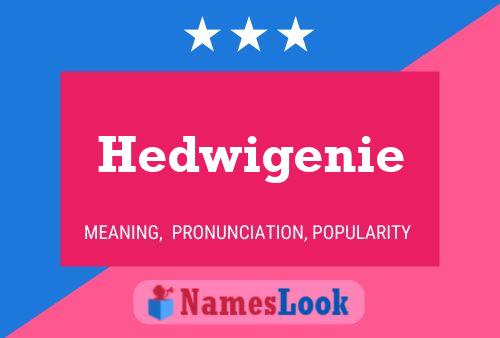 Affiche de nom Hedwigenie