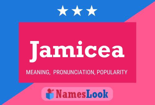 Affiche de nom Jamicea