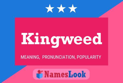 Affiche de nom Kingweed