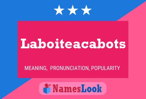 Affiche de nom Laboiteacabots