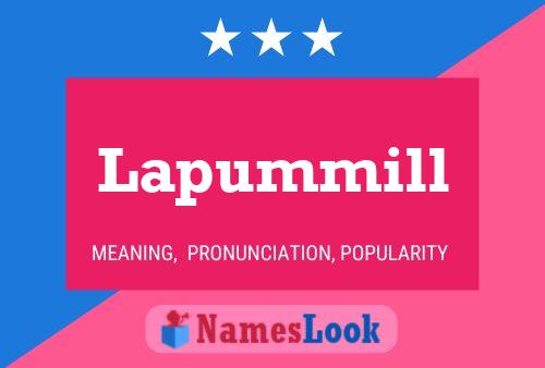 Affiche de nom Lapummill