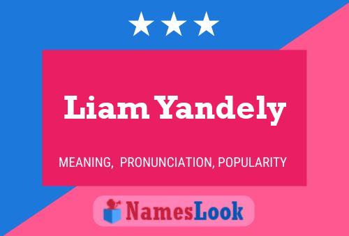 Affiche de nom Liam Yandely