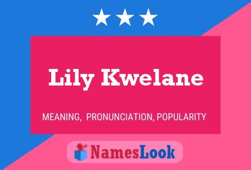 Affiche de nom Lily Kwelane