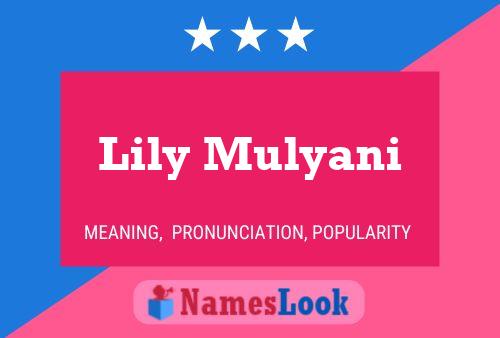 Affiche de nom Lily Mulyani