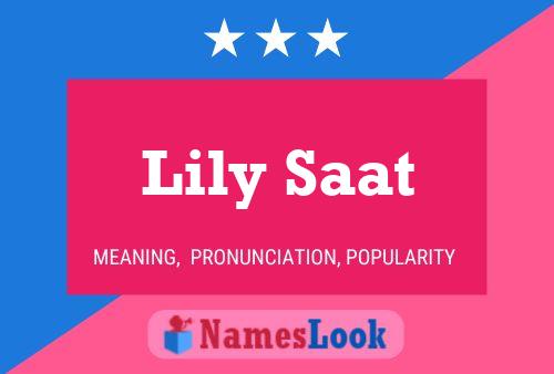 Affiche de nom Lily Saat