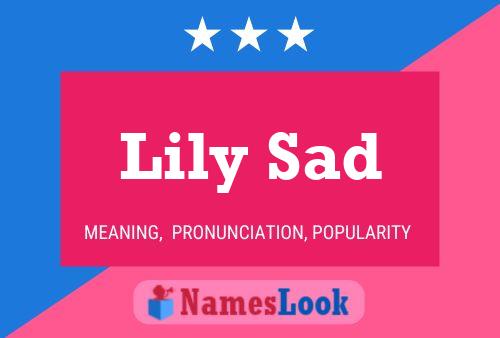 Affiche de nom Lily Sad