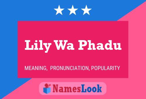 Affiche de nom Lily Wa Phadu