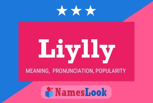 Affiche de nom Liylly