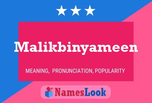 Affiche de nom Malikbinyameen