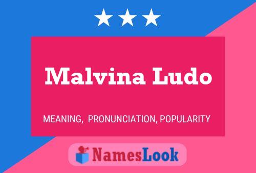 Affiche de nom Malvina Ludo