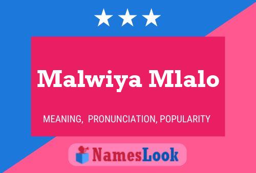 Affiche de nom Malwiya Mlalo